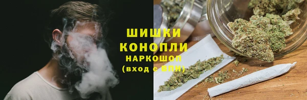 бошки Краснослободск