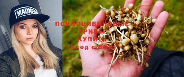 крисы Красноперекопск