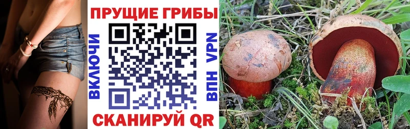 Псилоцибиновые грибы GOLDEN TEACHER  Купить закладки  Байкальск 