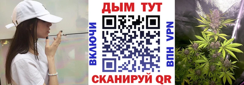 Шишки марихуана план  Купить закладки  Байкальск 